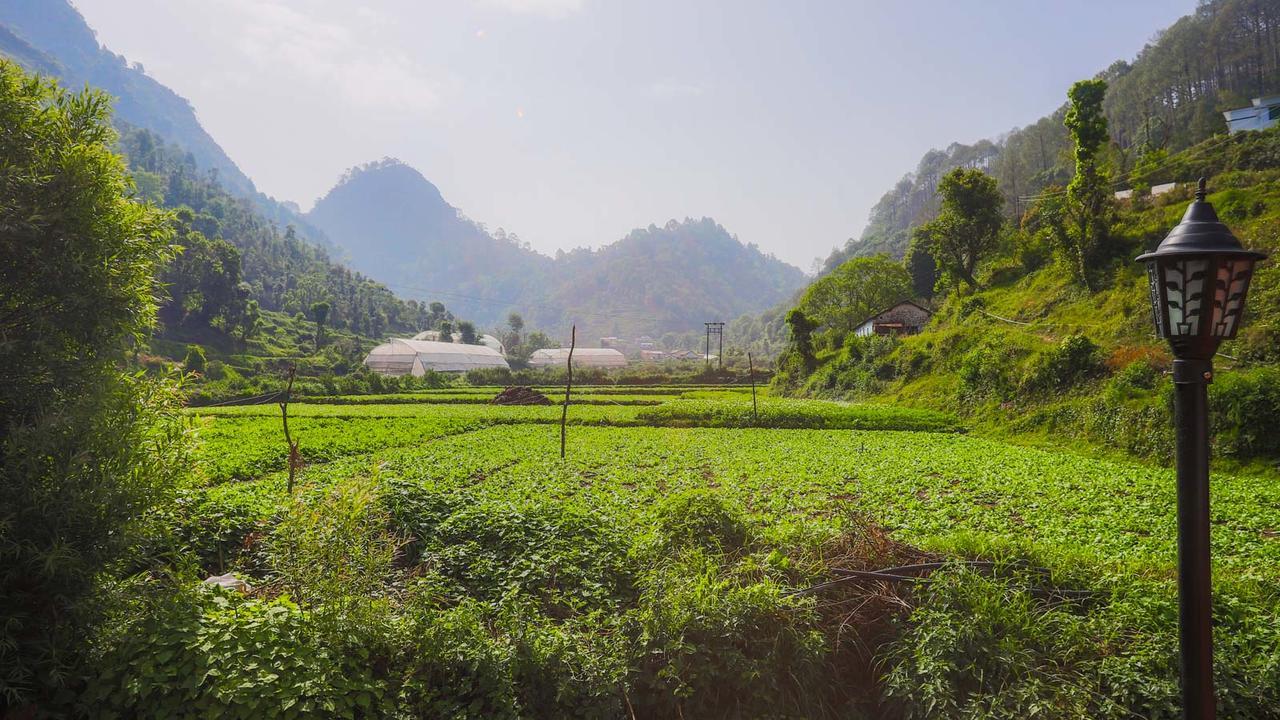 The Jungle Pool By Beyond Stay ไนนิตาล ภายนอก รูปภาพ
